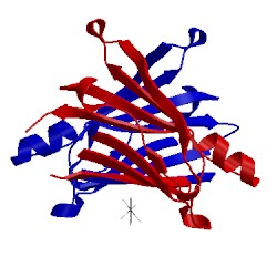 Image of CATH 2g5u