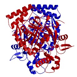 Image of CATH 2g6j