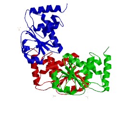 Image of CATH 2g6z