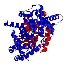 Image of CATH 2g77