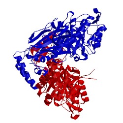 Image of CATH 2g95