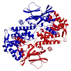 Image of CATH 2g97
