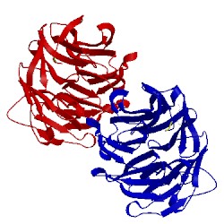 Image of CATH 2g99