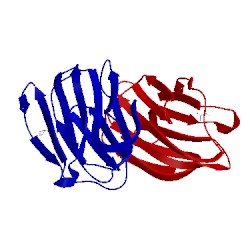 Image of CATH 2gal