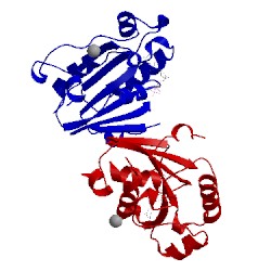 Image of CATH 2gao
