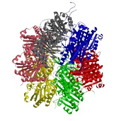 Image of CATH 2gbl