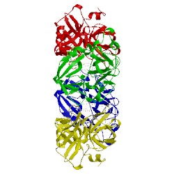 Image of CATH 2gdd