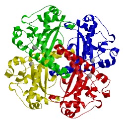 Image of CATH 2gds