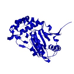 Image of CATH 2geu