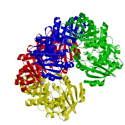 Image of CATH 2ggh
