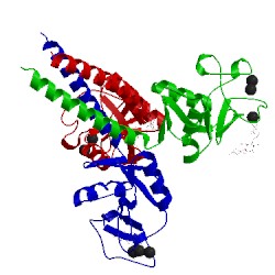 Image of CATH 2ggu