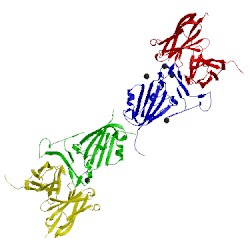 Image of CATH 2ghw