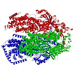 Image of CATH 2gif