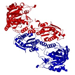 Image of CATH 2gks