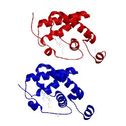 Image of CATH 2gln