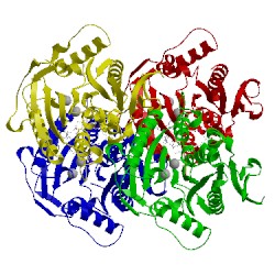 Image of CATH 2gm1