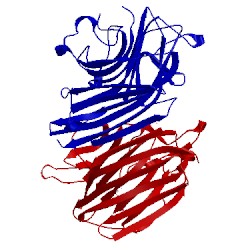 Image of CATH 2gnb