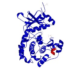 Image of CATH 2gnf