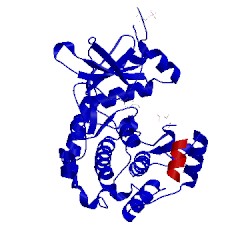 Image of CATH 2gnj