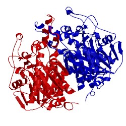 Image of CATH 2gp6