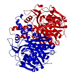 Image of CATH 2gqd