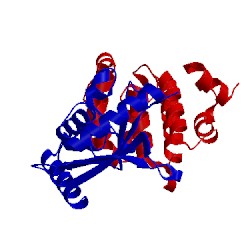 Image of CATH 2grn