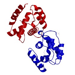 Image of CATH 2gte