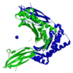 Image of CATH 2guo