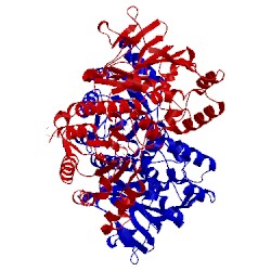 Image of CATH 2gvj