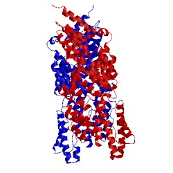 Image of CATH 2gw1