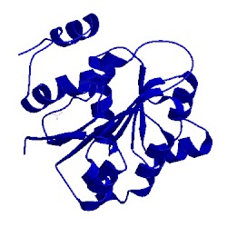 Image of CATH 2gxu
