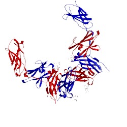 Image of CATH 2gys
