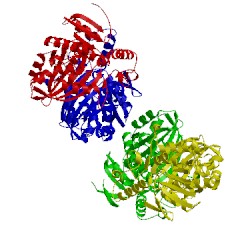 Image of CATH 2gyy