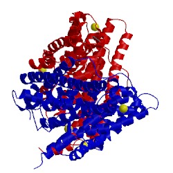 Image of CATH 2h2s