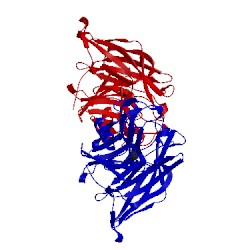 Image of CATH 2h2u
