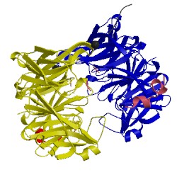 Image of CATH 2h3x