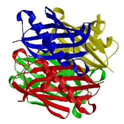 Image of CATH 2h4u