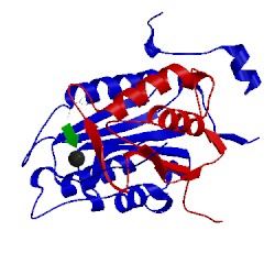 Image of CATH 2h4w