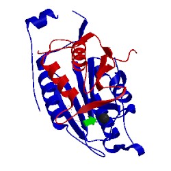 Image of CATH 2h51