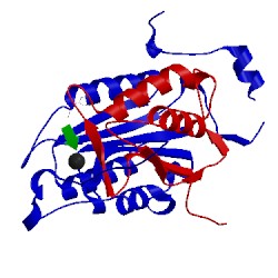 Image of CATH 2h54