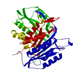 Image of CATH 2h5j