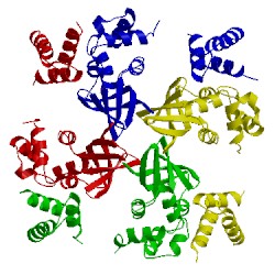 Image of CATH 2h5x