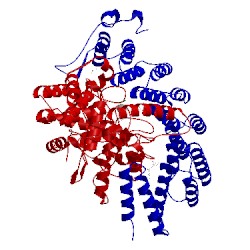 Image of CATH 2h6f