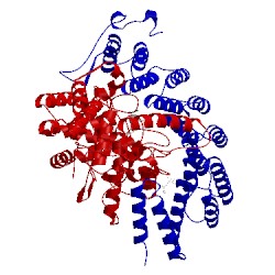 Image of CATH 2h6g