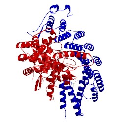 Image of CATH 2h6i