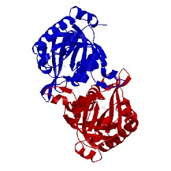 Image of CATH 2h8g
