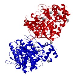 Image of CATH 2ha7