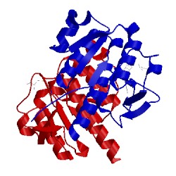Image of CATH 2ha8
