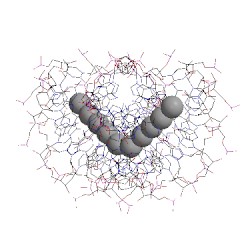 Image of CATH 2hbn
