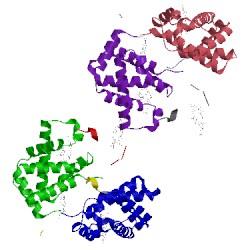 Image of CATH 2hbs